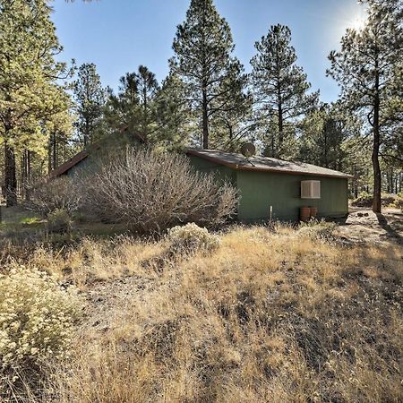 Family-Friendly Forested Home With Snow Play Area! Flagstaff Esterno foto