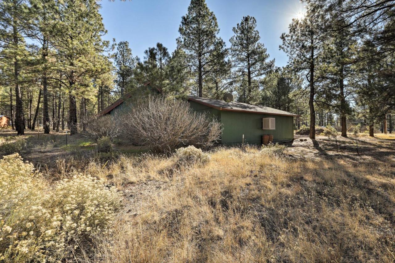 Family-Friendly Forested Home With Snow Play Area! Flagstaff Esterno foto