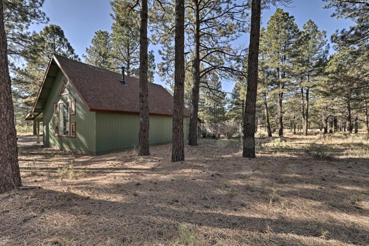 Family-Friendly Forested Home With Snow Play Area! Flagstaff Esterno foto